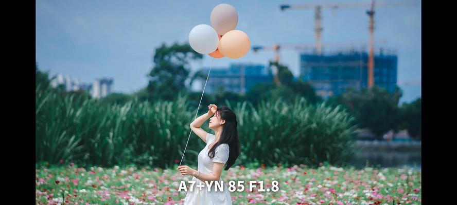 17-85镜头的优劣分析与应用（探究17-85镜头的性能特点及适用场景）