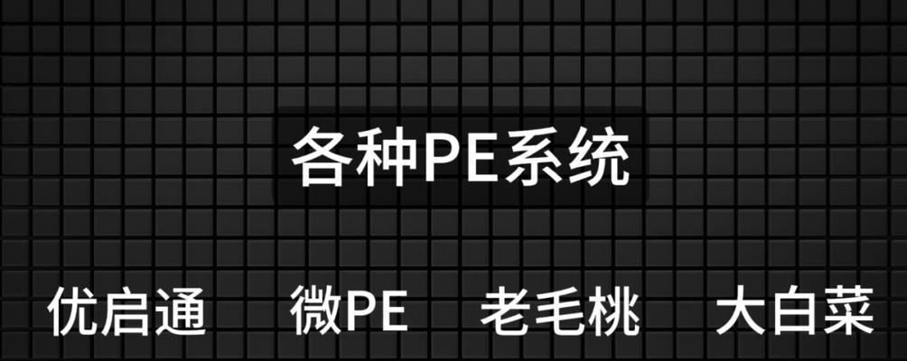 制作PE启动盘详细教程（一步步教你制作自己的PE启动盘）