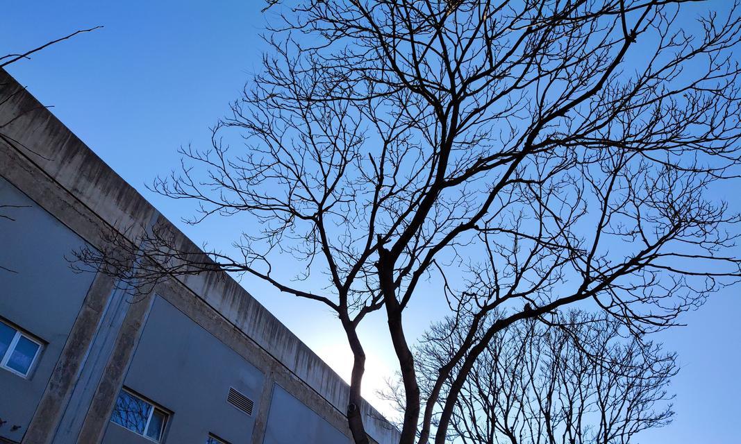 以后置1300万像素怎么样？探索手机摄影的新境界（1300万像素，解锁手机摄影的无限可能）