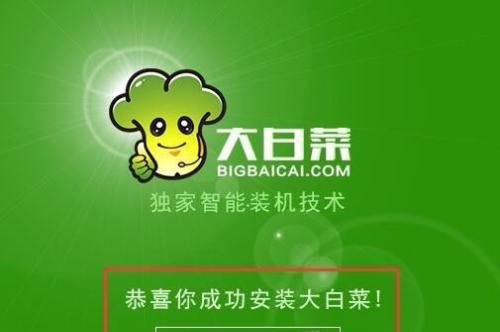 大白菜PE原版系统安装教程（详细教你如何安装大白菜PE原版系统）