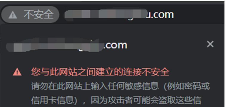 电脑浏览器显示域名错误的原因与解决方法（常见的域名错误类型及修复策略）
