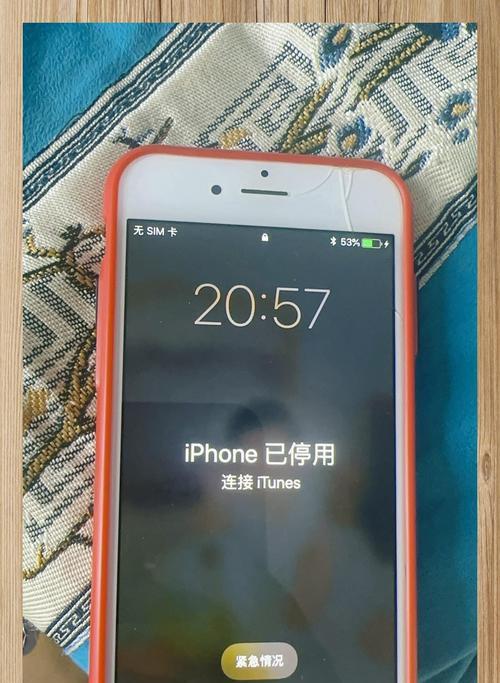 苹果电脑密码错误的困扰（解密密码错误的困扰与解决方法）